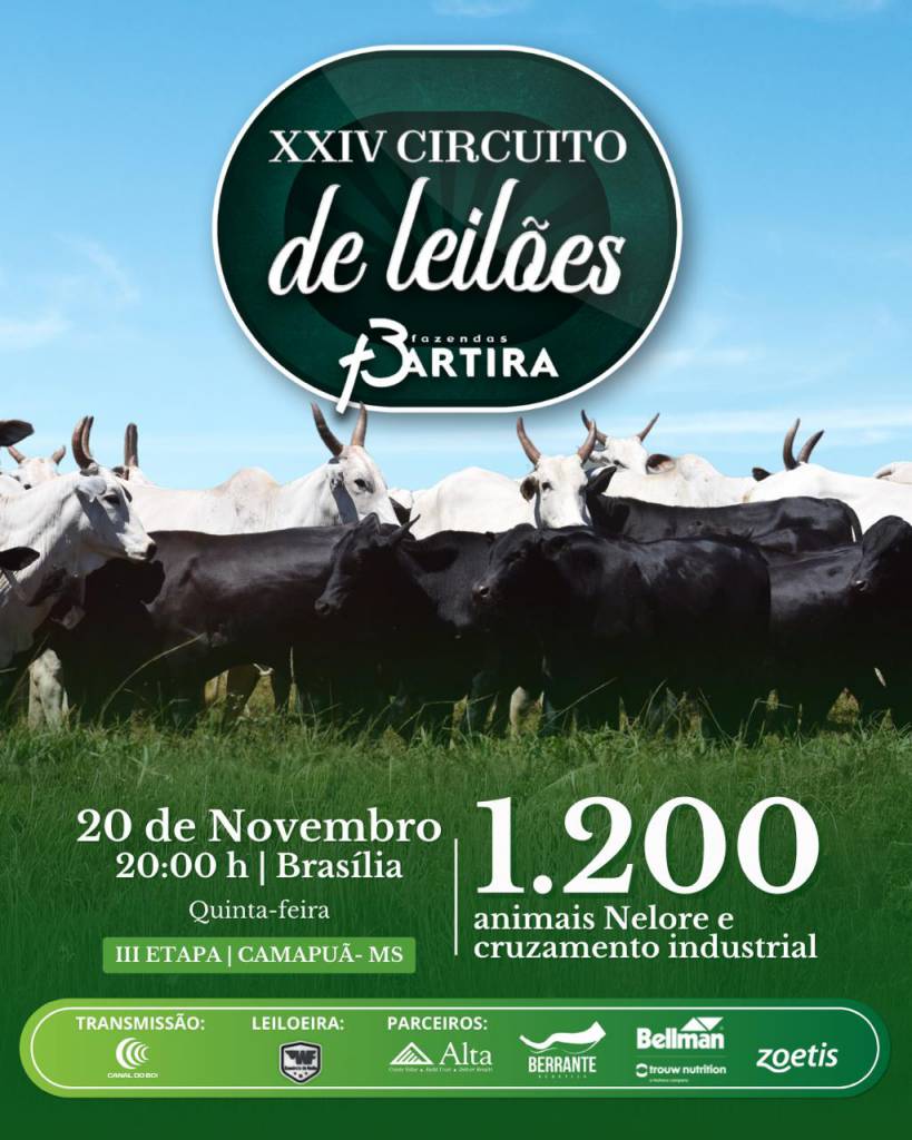 XXIV Circuito de Leilões Fazenda Bartira hoje no Canal do Boi