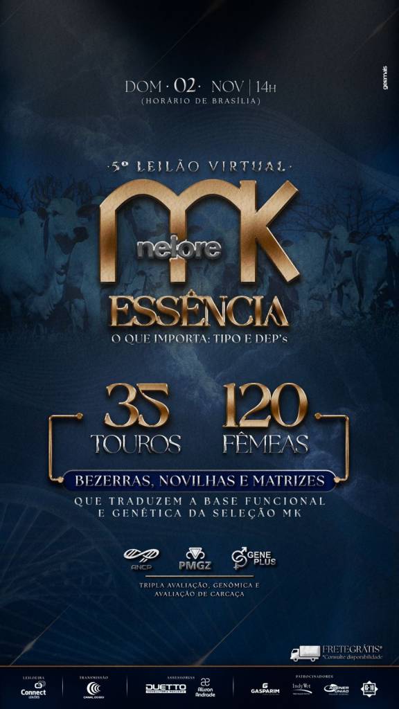 5º Leilão Virtual Nelore MK hoje no Canal do Boi
