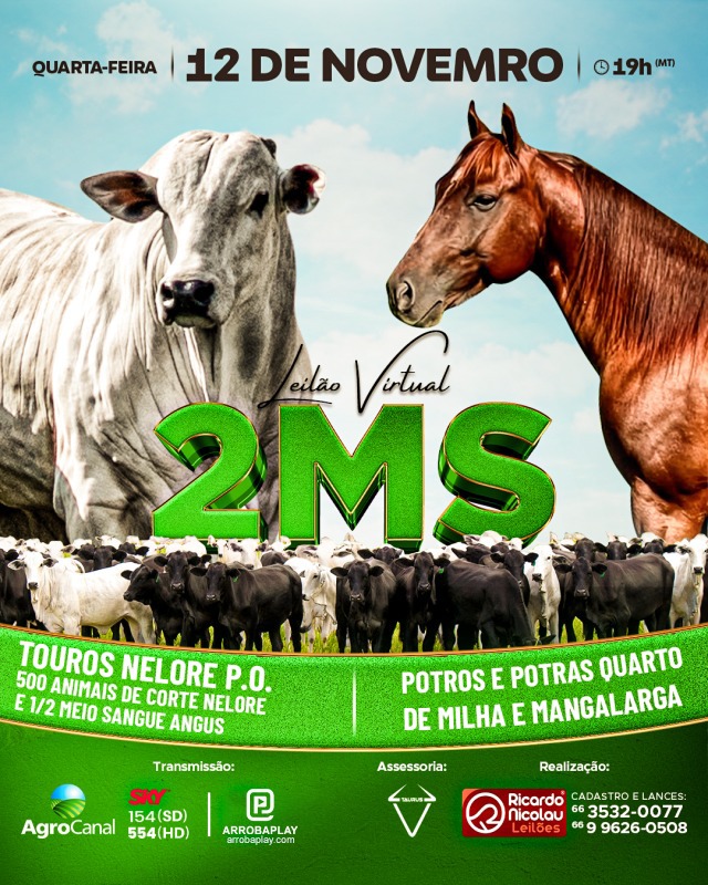 Leilão Virtual 2MS hoje às 20h no Agro Canal