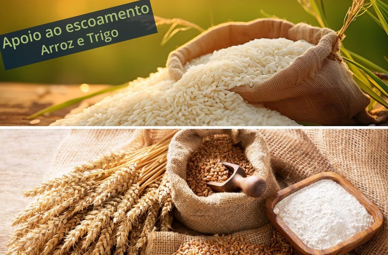 Leilões de apoio ao escoamento de arroz e trigo são marcados para o dia 22