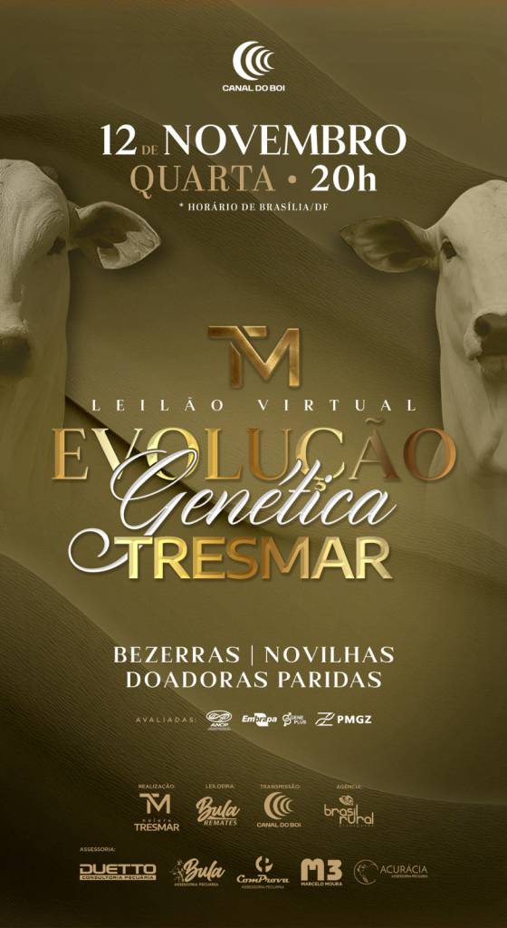 Leilão Virtual Evolução Genética Tresmar hoje no Canal do Boi