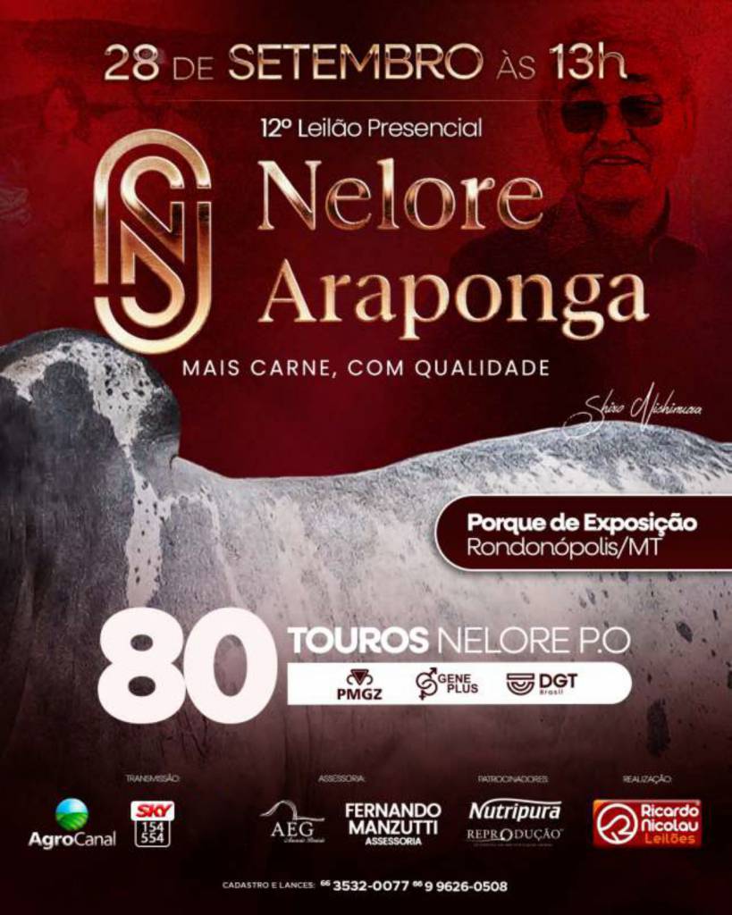 12º Leilão Presencial Fazenda Araponga hoje no Agro Canal