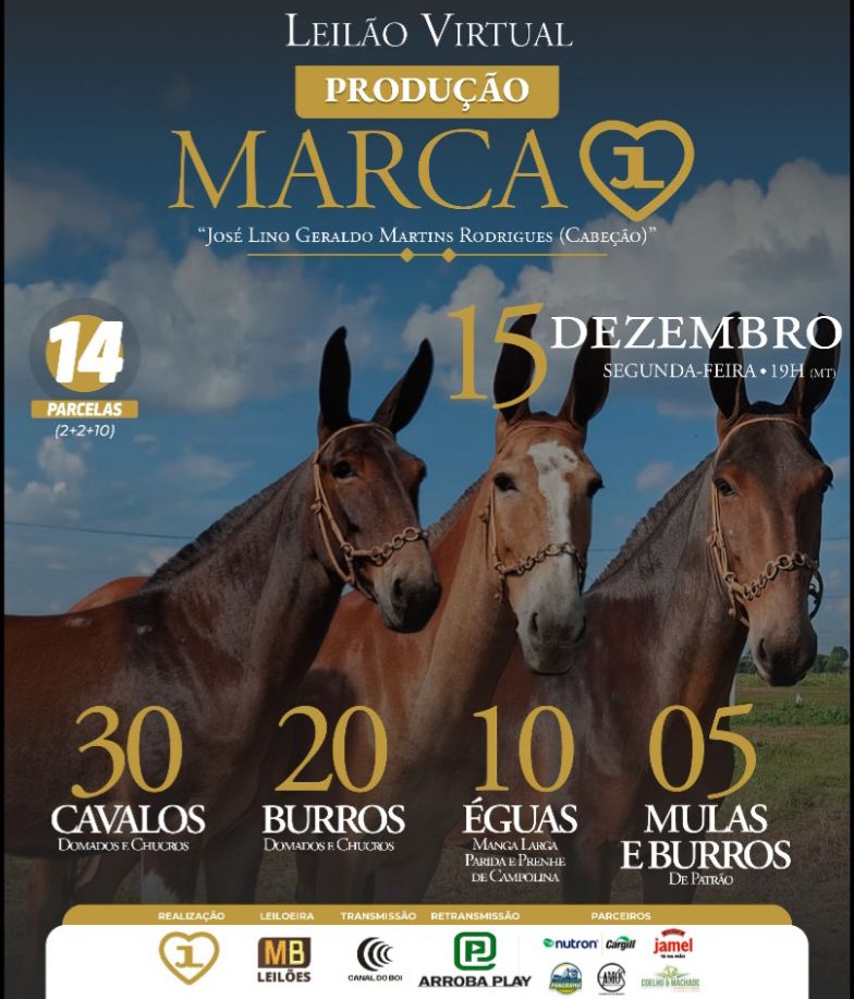 Leilão Virtual Produção Marca 1 hoje às 20h no Canal do Boi