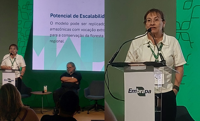 Na AgriZone, Mapa apresenta o Projeto Castanha Sustentável