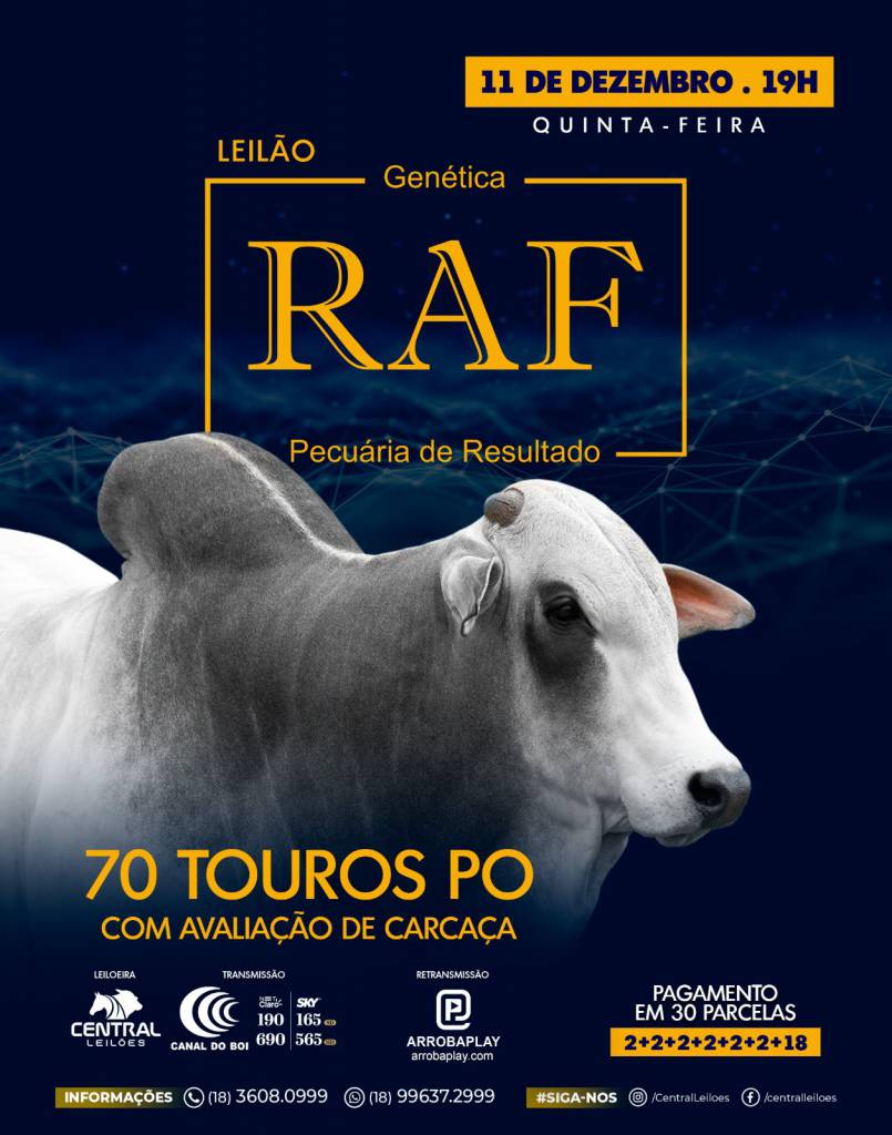 Leilão Genética RAF - Pecuária de Resultado hoje no Canal do Boi 
