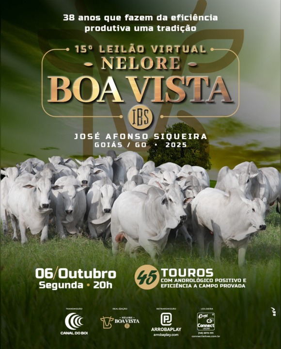 15º Leilão Virtual Nelore Boa Vista hoje no Canal do Boi