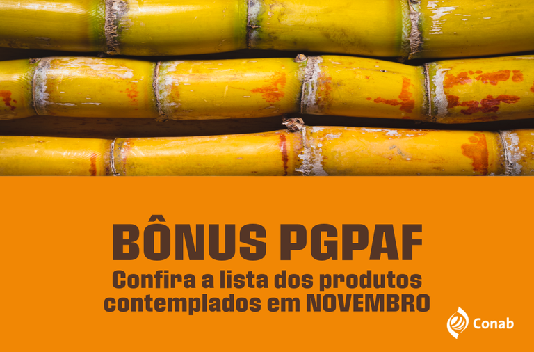 Produtores de cana em Pernambuco e Rio Grande do Norte passam a contar com bônus do PGPAF