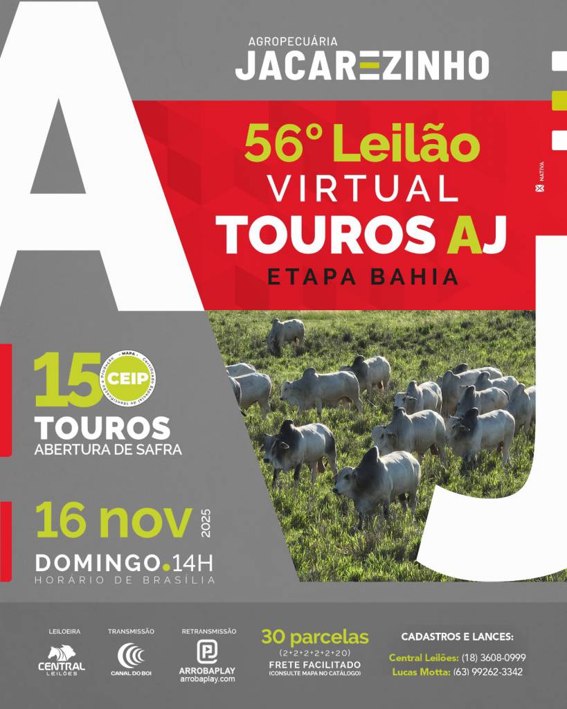 56º Leilão Virtual Touros Agropecuária Jacarezinho - Etapa Bahia hoje no Canal do Boi 
