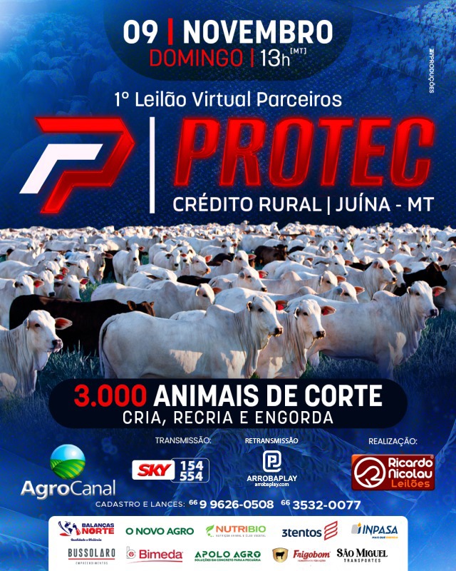 1º Leilão Virtual Parceiros Protec hoje no Agro Canal