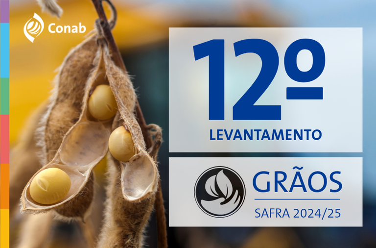 Produção de grãos atinge novo recorde com 350,2 milhões de toneladas colhidas na safra 2024/25