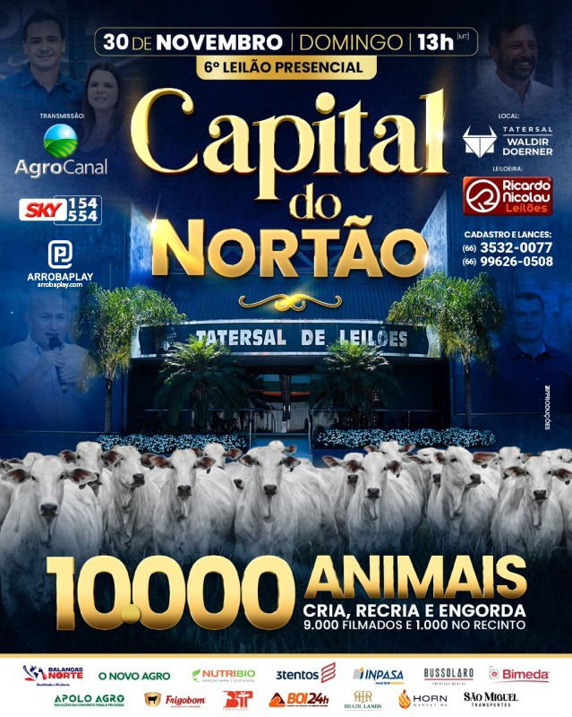 Leilão Presencial Capital do Nortão hoje no Agro Canal