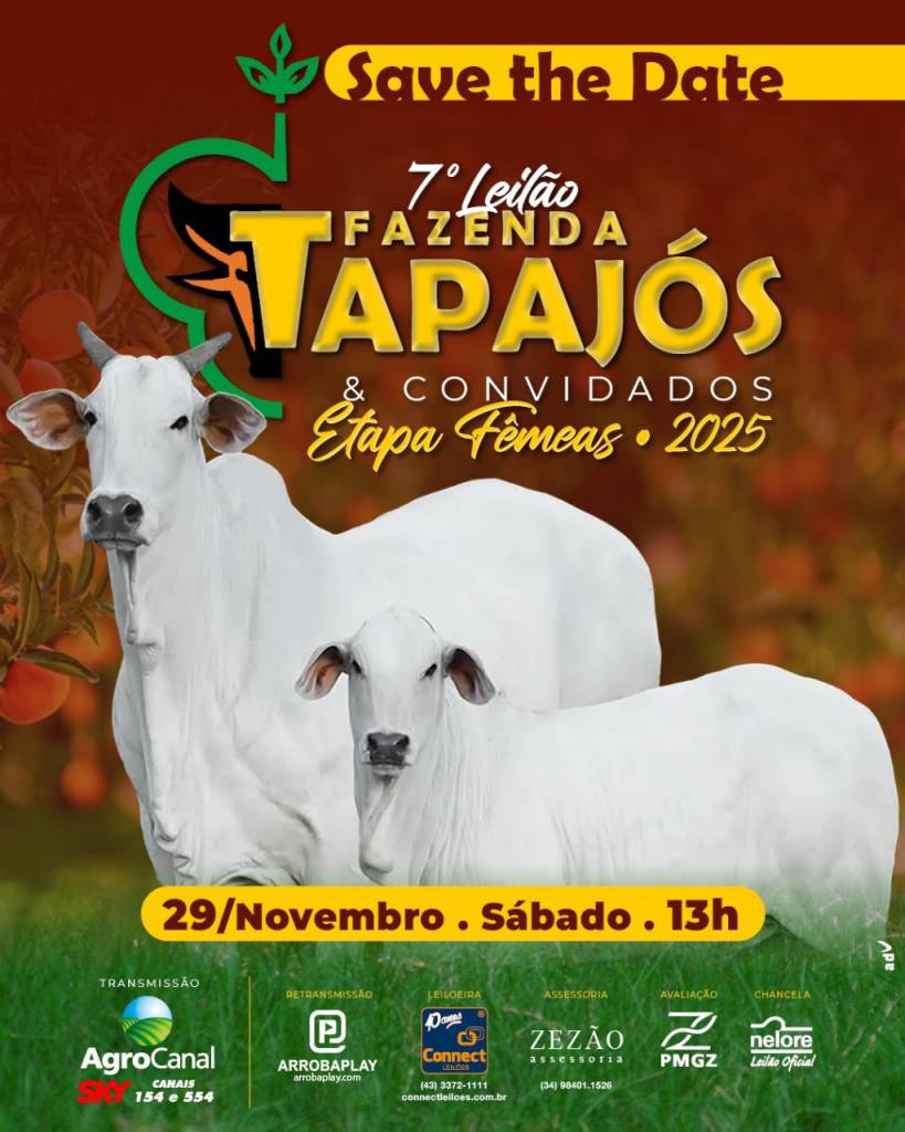 7º Leilão Fazenda Tapajós e Convidados - Etapa Fêmeas hoje no Agro Canal