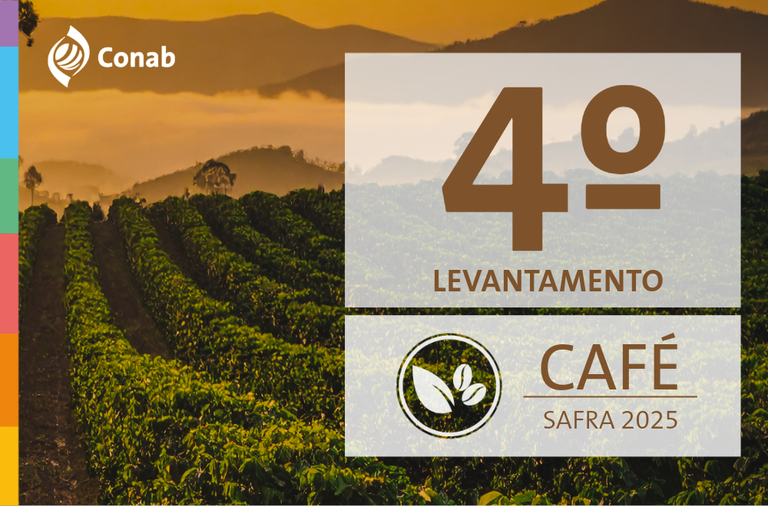 Com maior safra de conilon, produção de café é estimada em 56,5 milhões de sacas em 2025