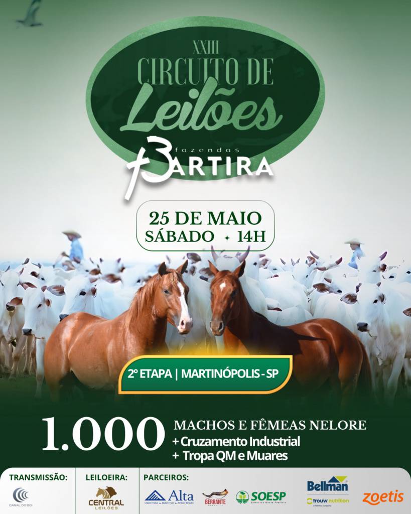 XXIII Circuito de Leilões Fazendas Bartira - 2ª Etapa hoje às 14h no Canal do Boi