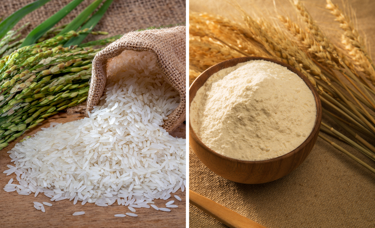 Governo Federal divulga subvenção de até R$ 167 milhões para equalização de preços do arroz e do trigo