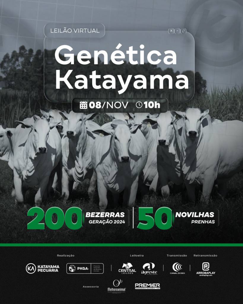 Leilão Virtual Genética Katayama hoje às 10h no Canal do Boi 