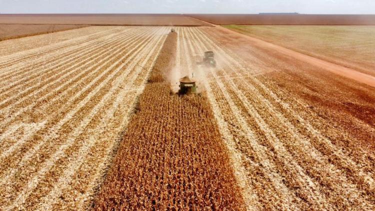 Agricultores de MS levam alimentos para o mundo e movimentam bilhões
