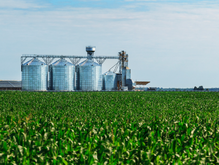 Com reabertura do mercado europeu, ABPA leva agroindústria para uma das maiores feiras de alimentos do mundo