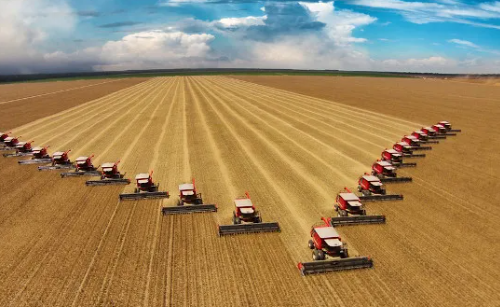 Diversificação transforma o agronegócio de Mato Grosso do Sul, que vai além dos “gigantes”