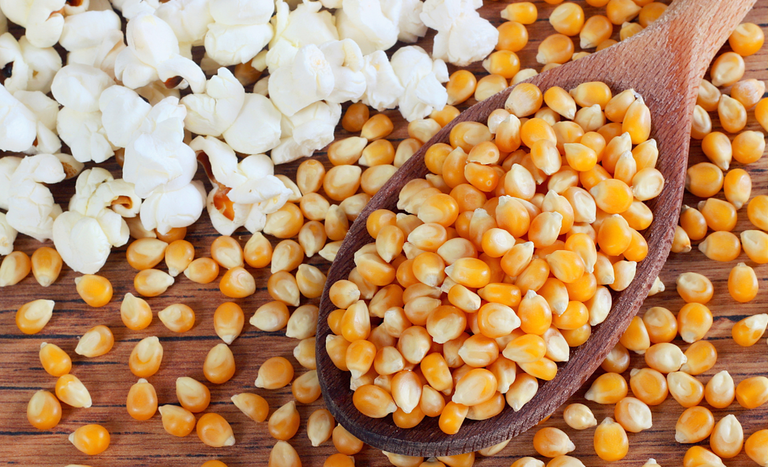 Abertura de mercado para produtos agropecuários do Brasil na Costa Rica