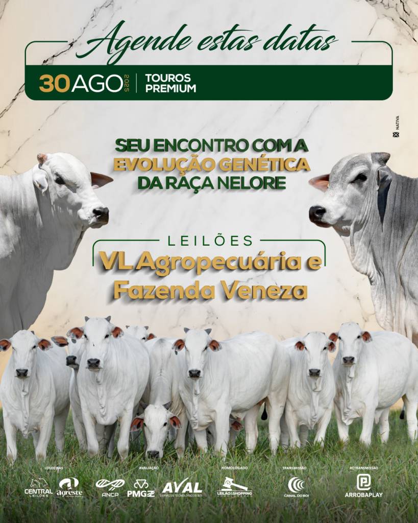 Leilão VL Agropecuária e Fazenda Veneza  hoje às 10h no Canal do Boi 