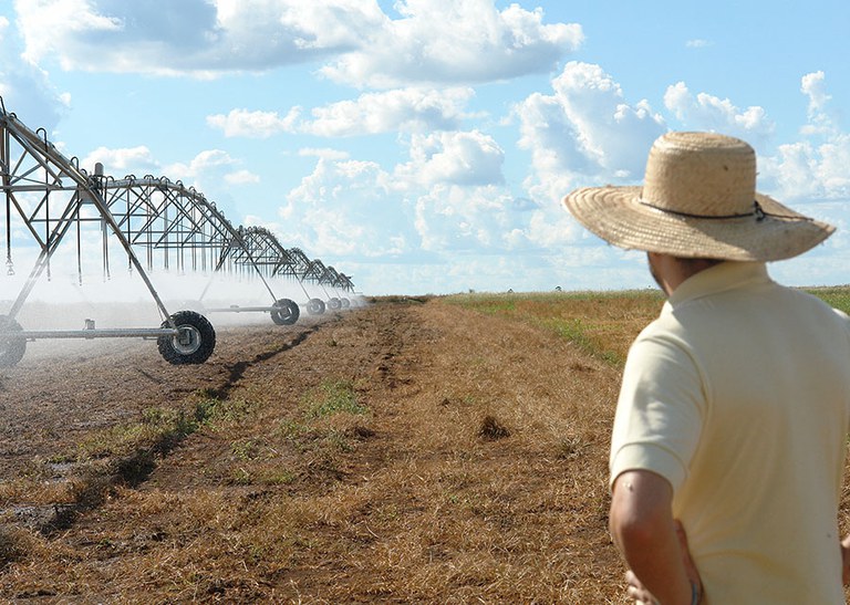 Plano Safra 2025/26 deve atender ao produtor rural com recursos para seguro agrícola e armazenagem