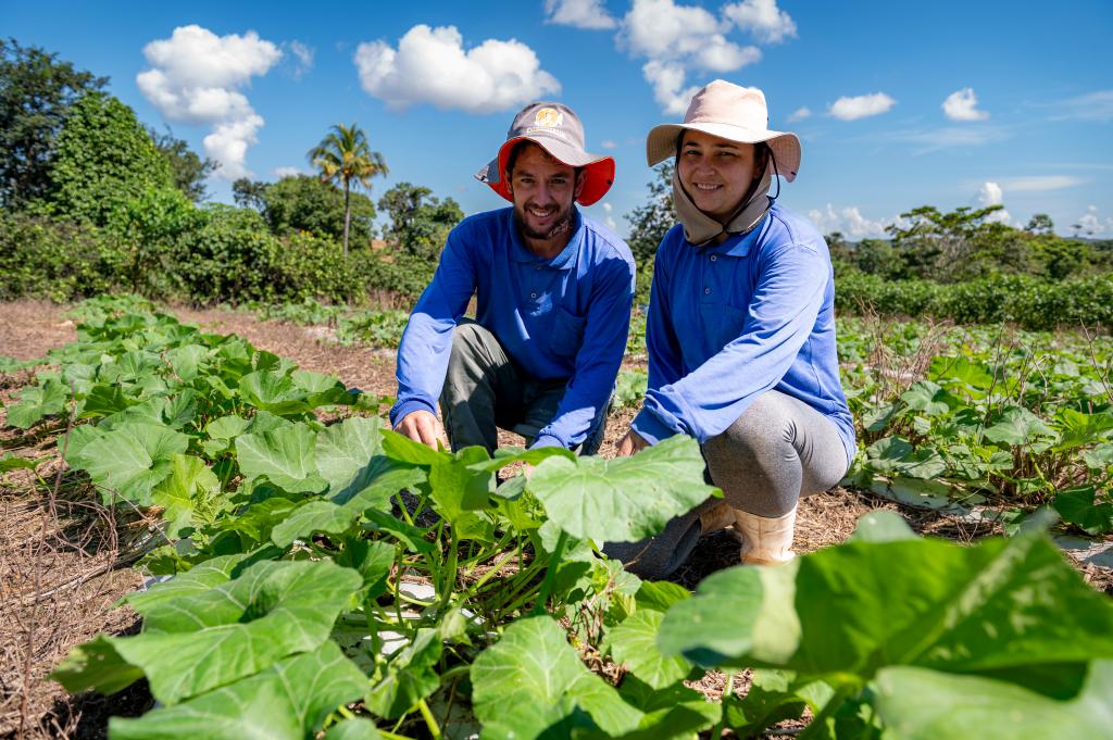 Mato Grosso injeta R$ 720 milhões na agricultura familiar e fortalece o campo