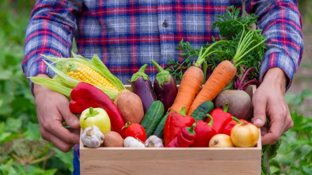 Tributação das LCAs ignora desequilíbrio das contas públicas e aumenta o preço dos alimentos, aponta FPA