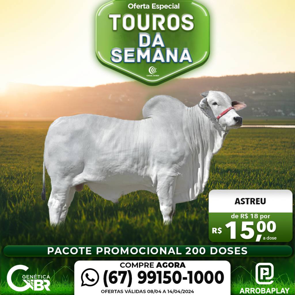 Conheça os touros com venda especial de sêmen desta semana