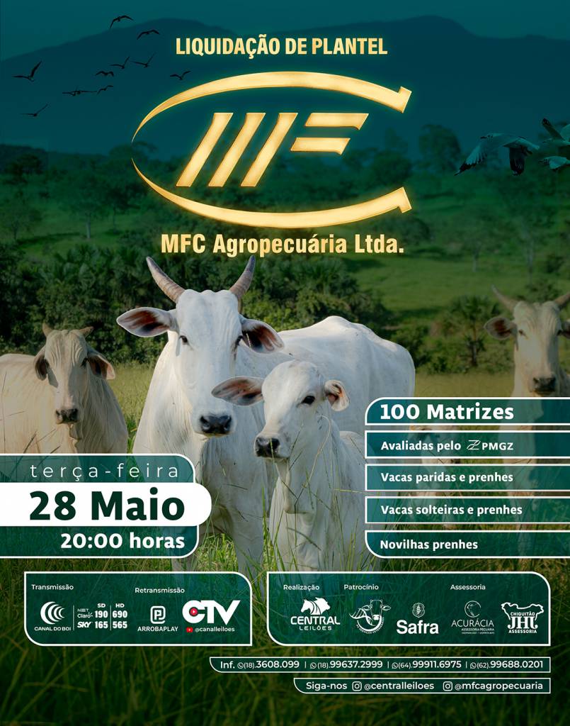 Liquidação de Plantel MFC Agropecuária hoje às 19h no Canal do Boi