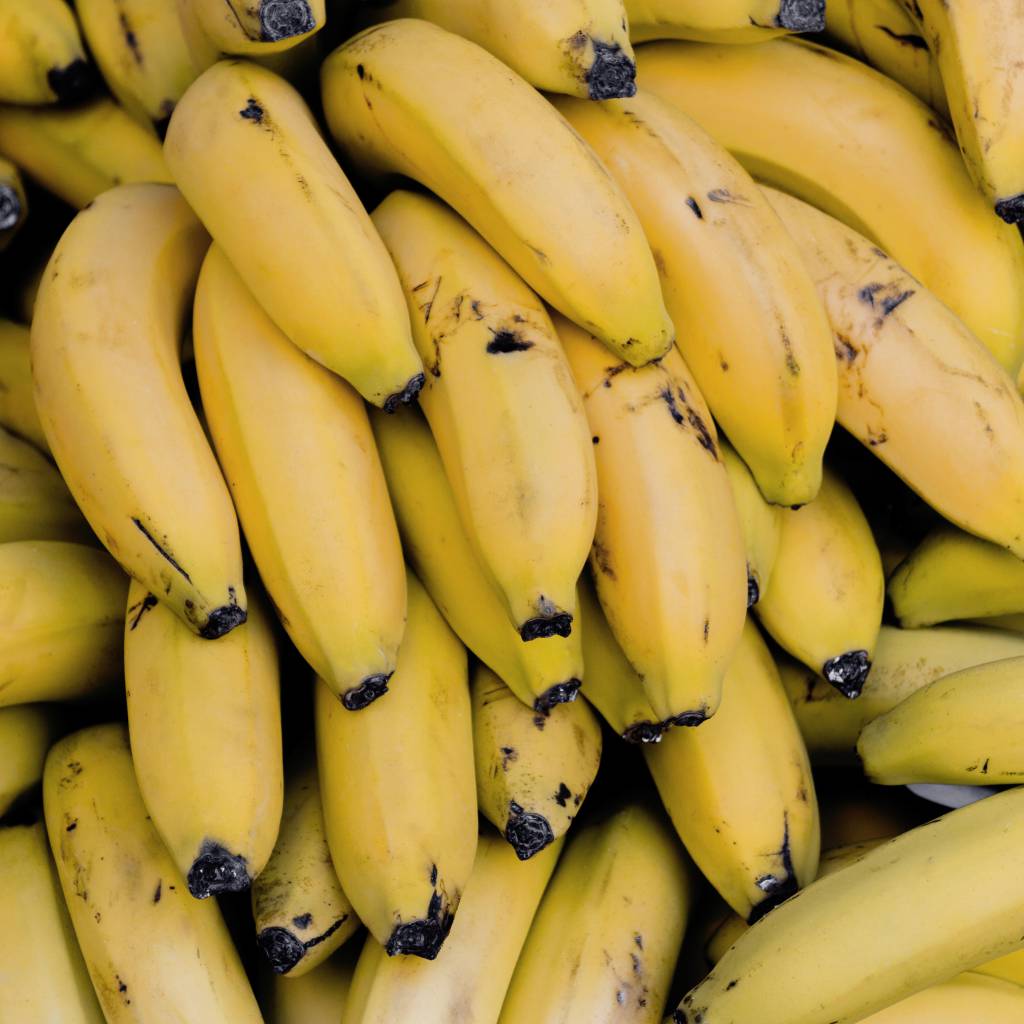 Menor demanda da banana pressiona cotações no Vale do Ribeira