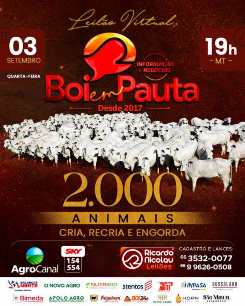 Leilão Virtual Boi Em Pauta hoje às 20h no Canal do Boi e Agro Canal