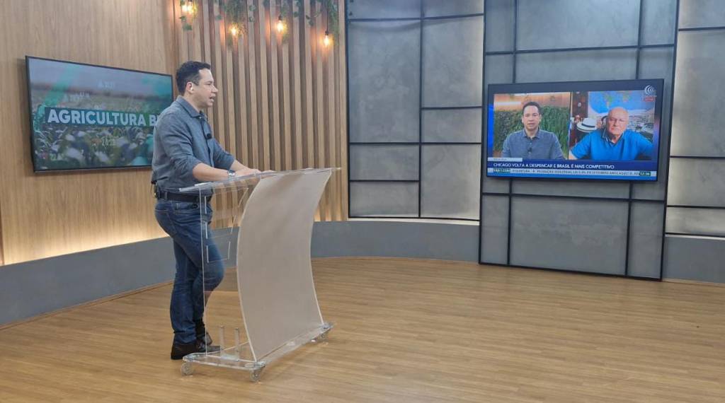 Incertezas no mercado da soja aumentam com ausência de dados do USDA e indefinição da China