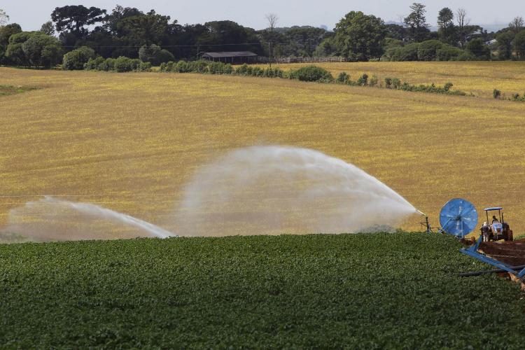 Banco do agricultor alcança R$ 1 bilhão em crédito e impulsiona mais de 7,8 mil projetos rurais