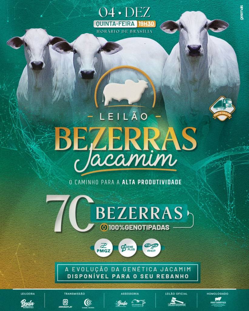 Leilão Bezerras Jacamim hoje às 19h no Canal do Boi 