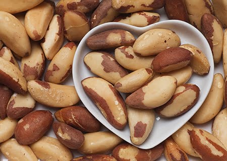 Costa Rica abre mercado para castanha-do-Brasil