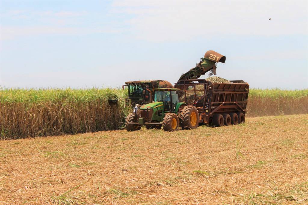 Principais culturas agrícolas de MS têm aumento de área e previsão de produção maior na safra 2024/2025