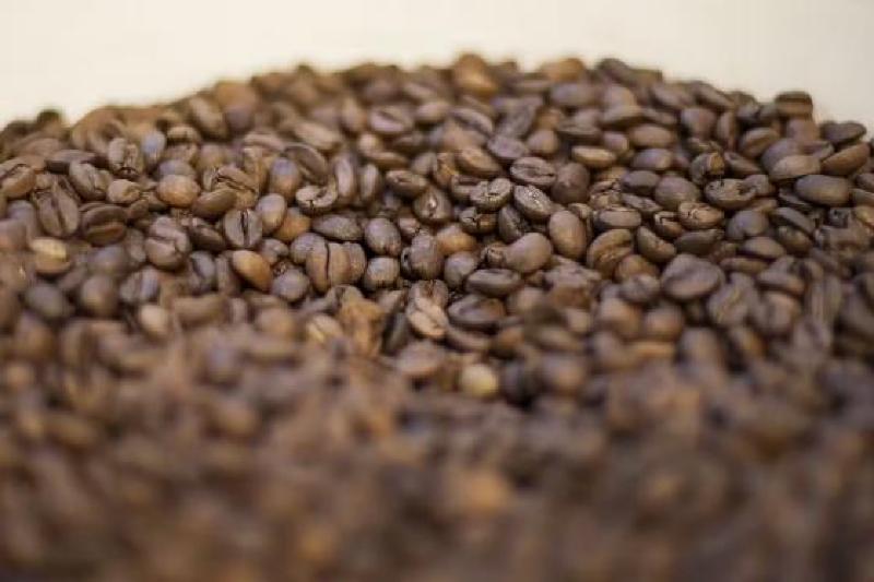 Café/OIC: exportação mundial em março aumenta 0,62%, para 13 milhões de sacas
