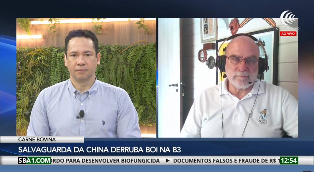 Salvaguarda da China derruba boi nas B3