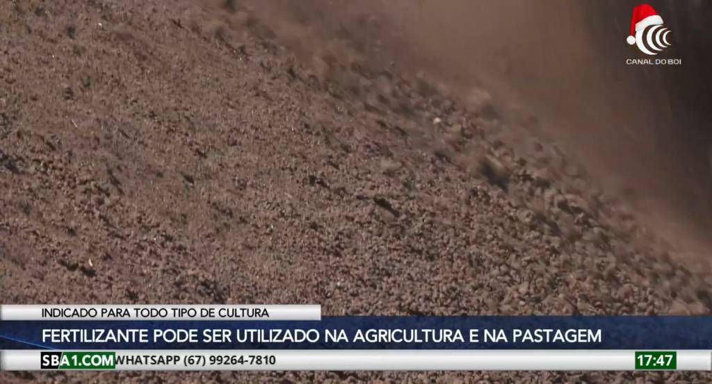 Tecnologia transforma dejetos bovinos em fertilizante de alto valor agrícola