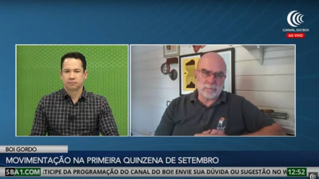 Mercado do boi gordo firme e cotações em alta no início do mês