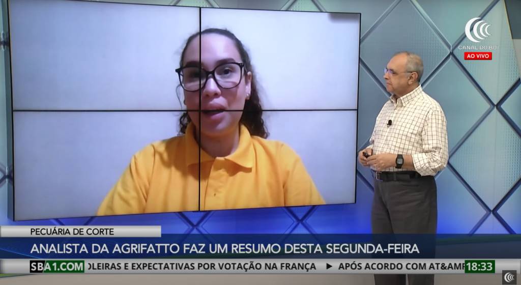 Setembro Promissor? Agrifatto comenta mercado do boi gordo e exportações