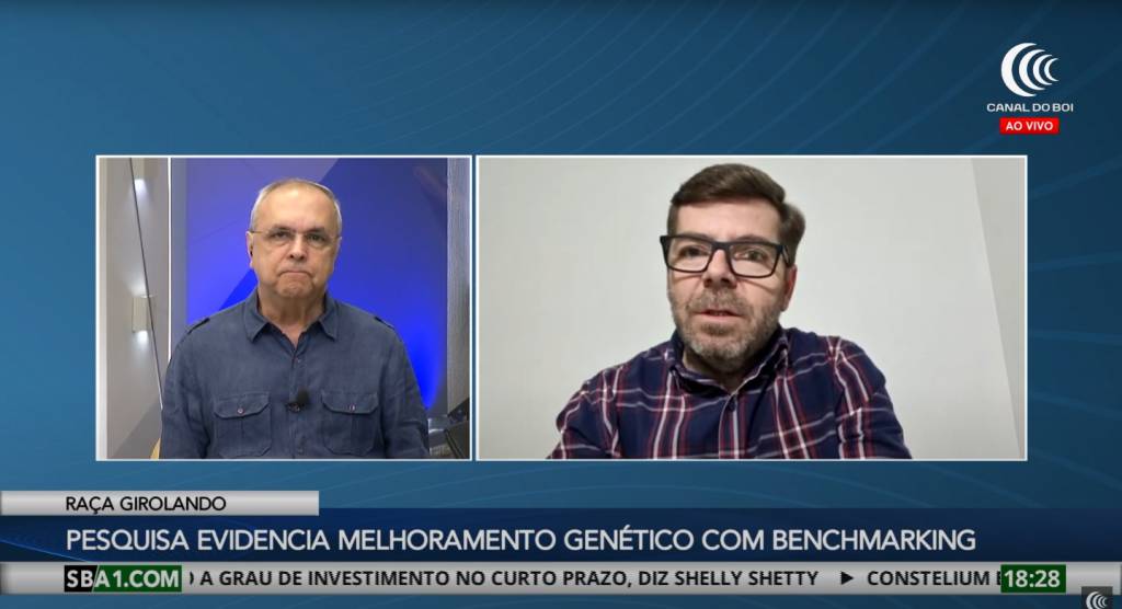 Pesquisa com raça girolando busca elevar eficiência da pecuária leiteira no Brasil
