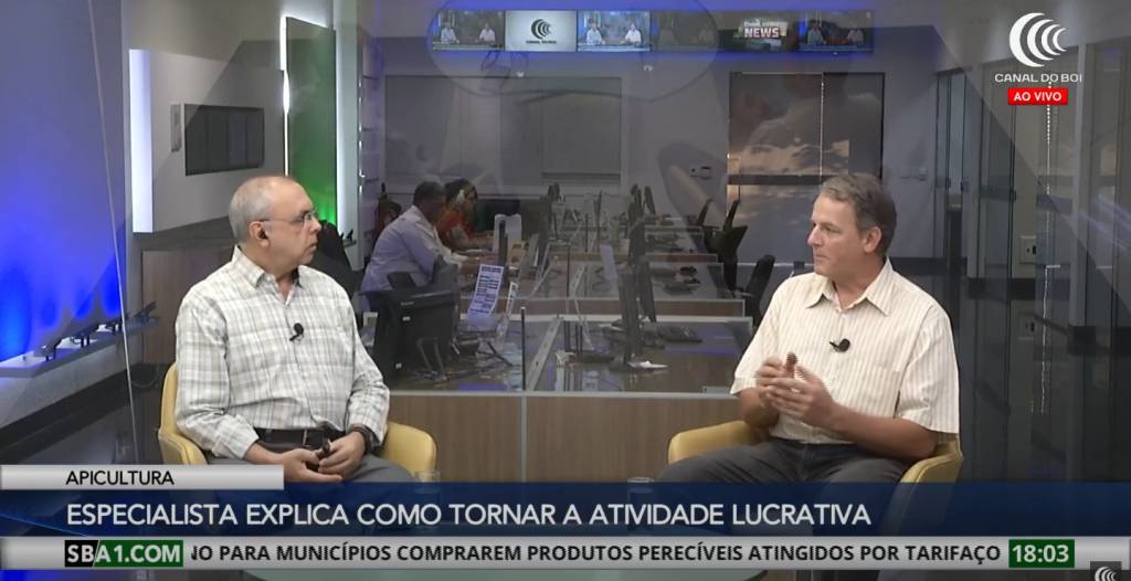 Apicultura rentável e estratégias para maximizar lucros no agronegócio