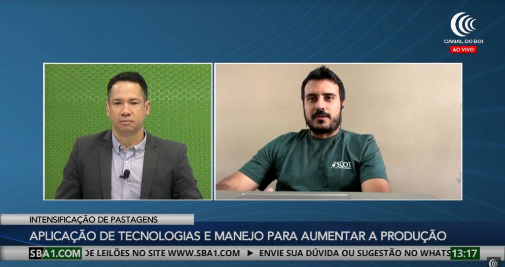 Encontro de Intensificação de Pastagens da Scot Consultoria acontece este mês