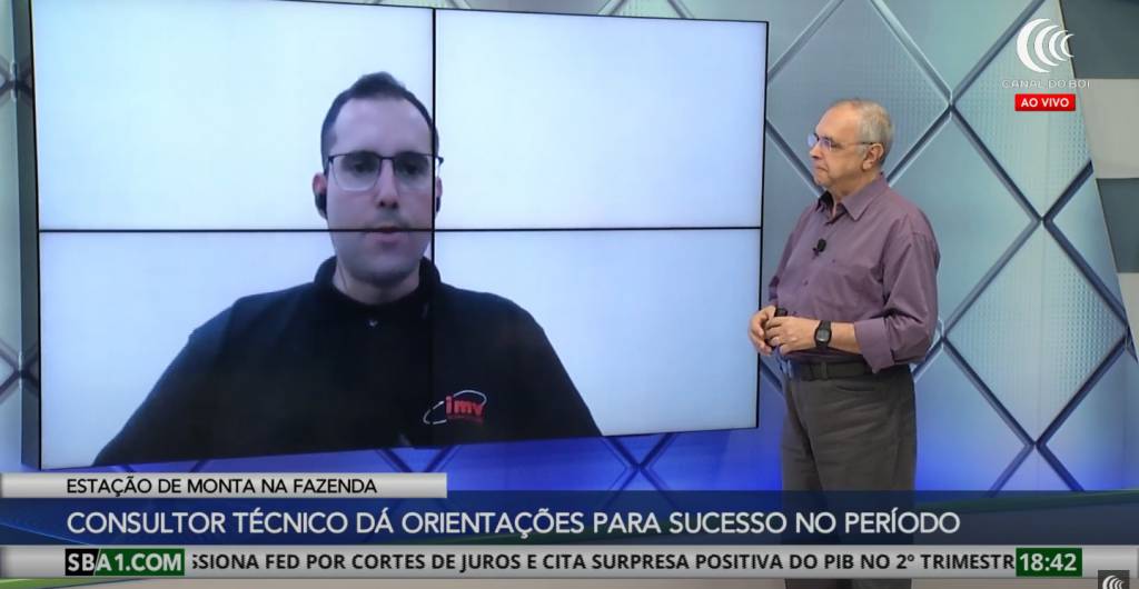 Consultor técnico aponta boas práticas para a estação de monta na fazenda