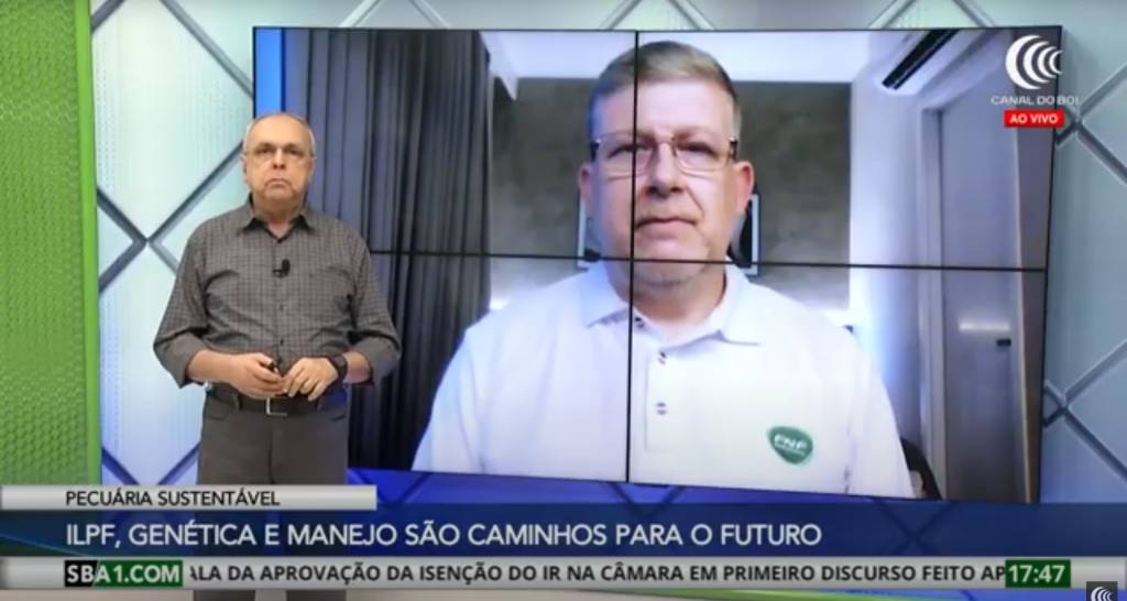 Futuro da pecuária sustentável passa por ILPF, genética e boas práticas de manejo