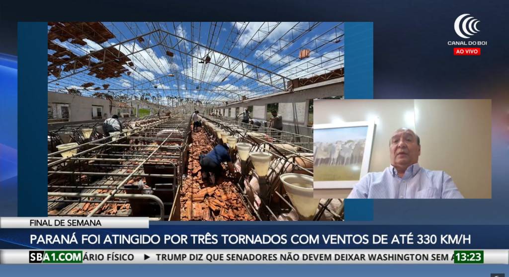 Produtores tiveram granjas destruídas no Paraná devido à passagem de tornados