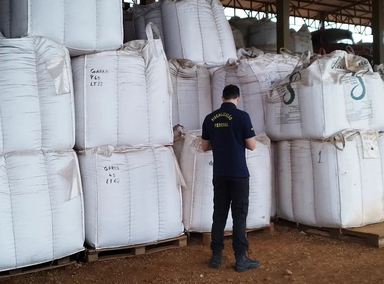 Auditores fiscais federais agropecuários apreendem 3 mil toneladas de sementes irregulares