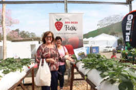 Expointer 2025: Frutas, cultivares e sanidade dos pomares em destaque no Espaço da Emater/RS-Ascar